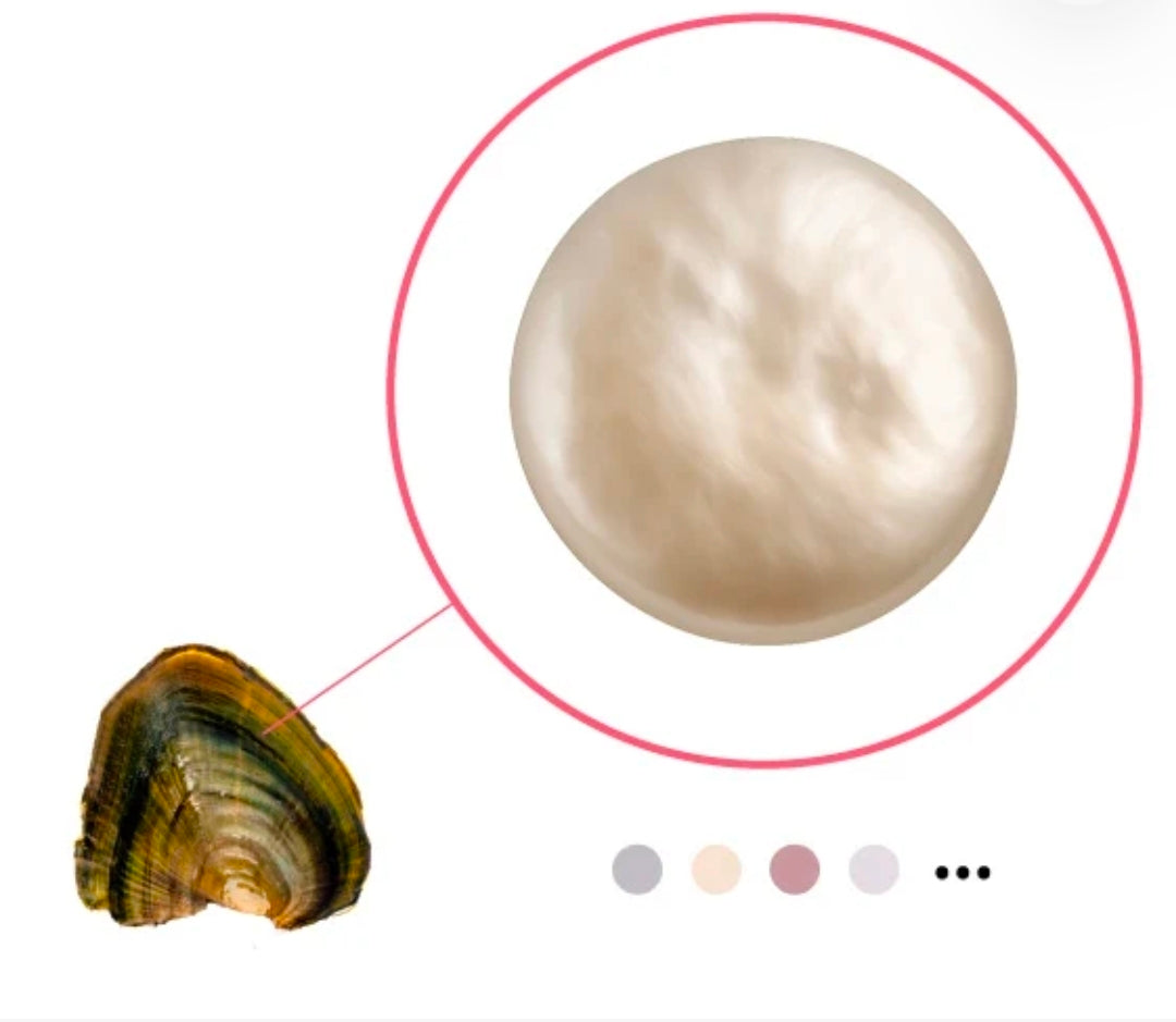 Natural Color Coin Pearl Oyster
