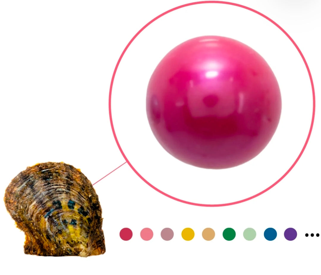 Edison Pearl Oyster