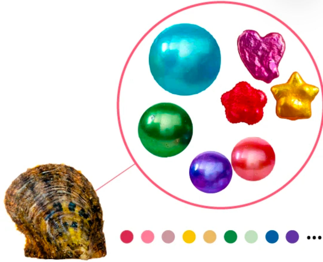 Multi Pearl Oyster