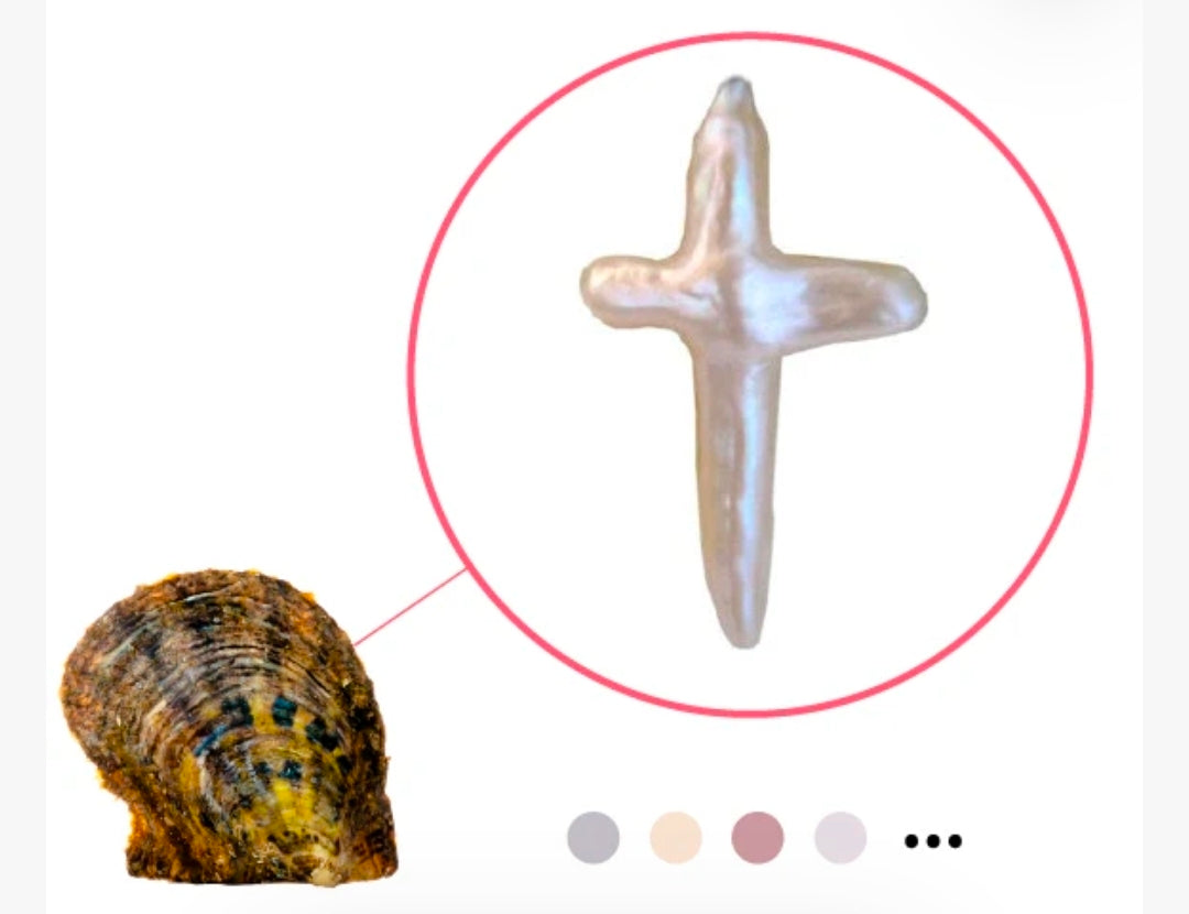 Natural Colored Large Cross Pearl Oyster