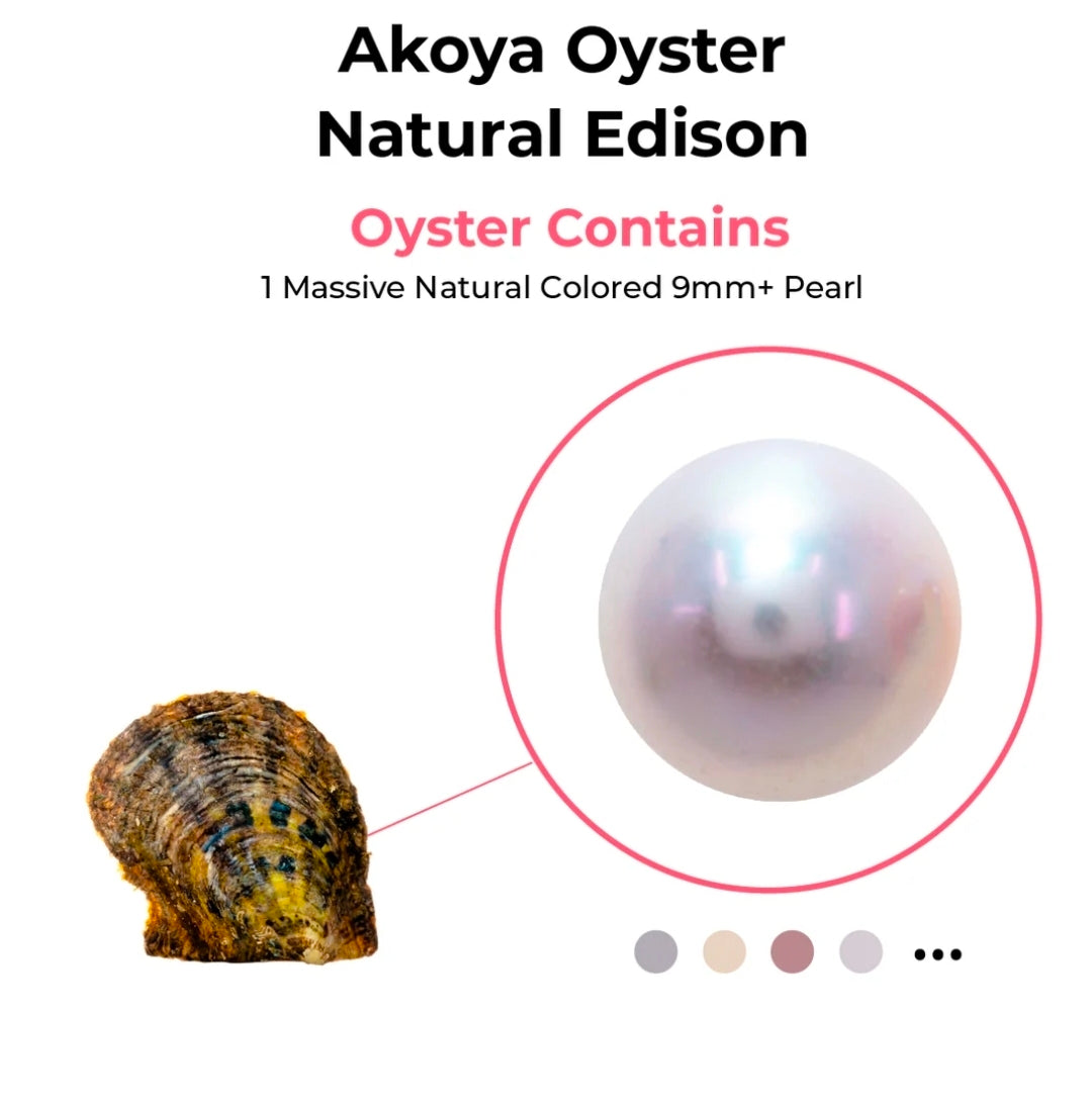 Edison Pearl Oyster