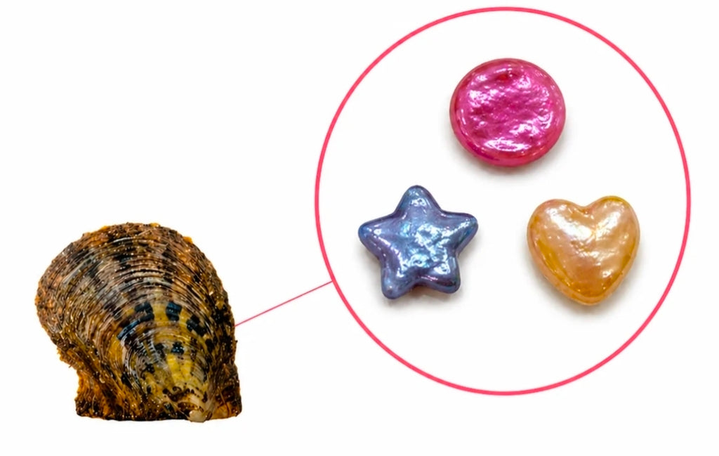Mystery 3 Shape Pearl Oyster