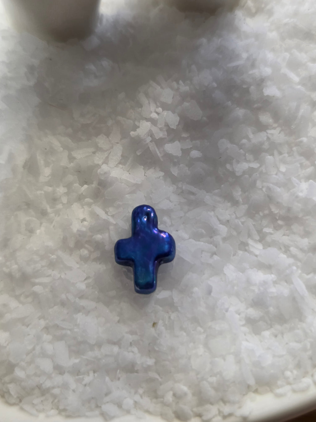 Small Colored Cross Pearl Oyster