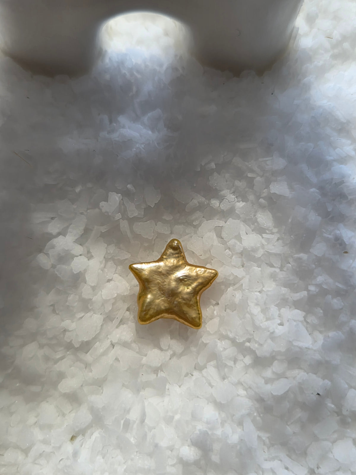 Star Pearl Oyster